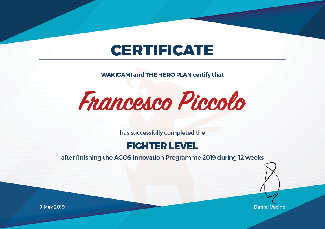 Fighter_FrancescoPiccolo